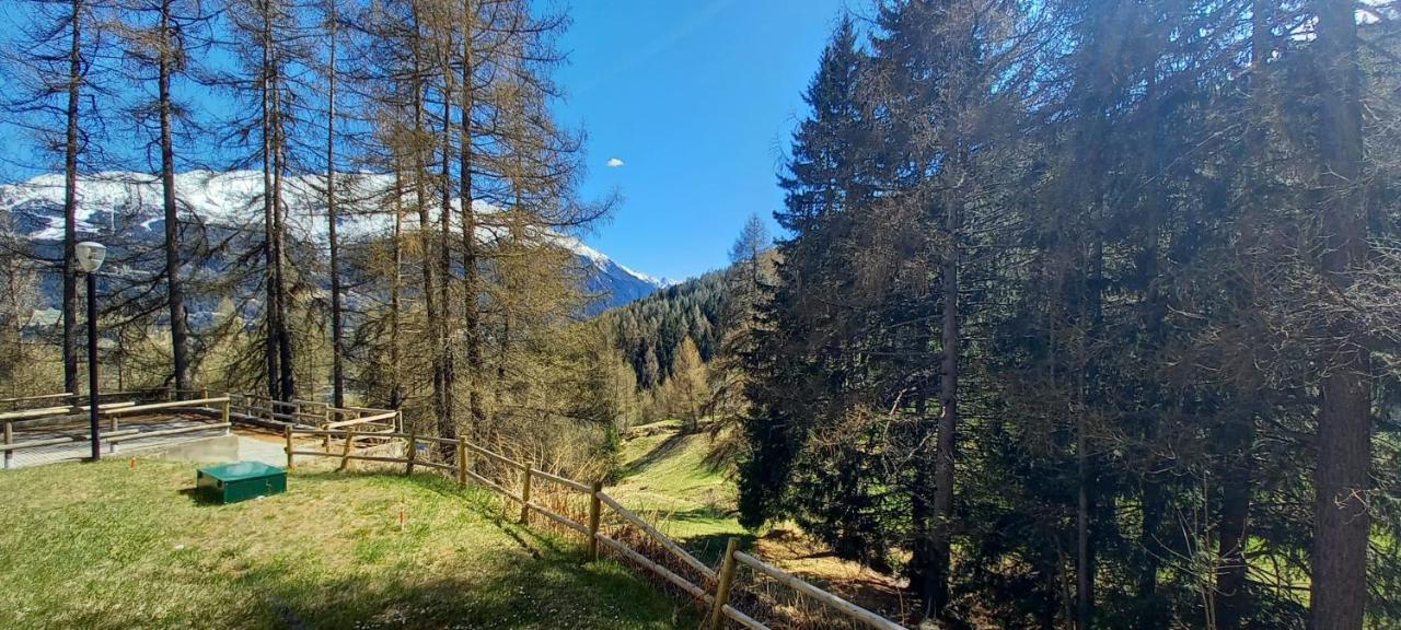 Stelviostay Residence Stelvio Valdisotto Exterior foto